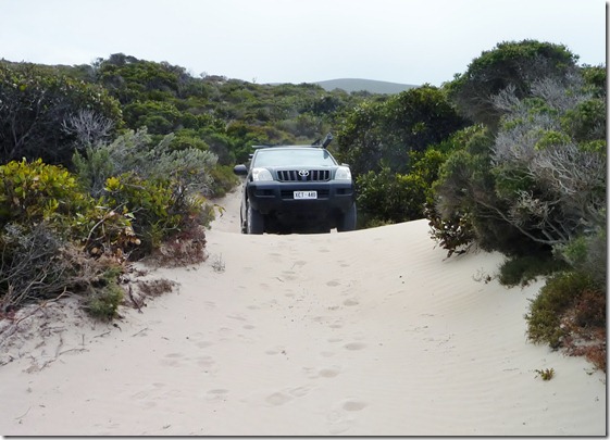 Prado1