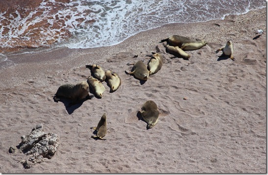 Sunbathers