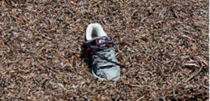 washed up amongst the seaweed