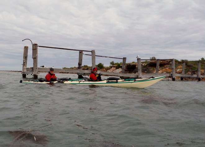 Wardang Goose Is 037