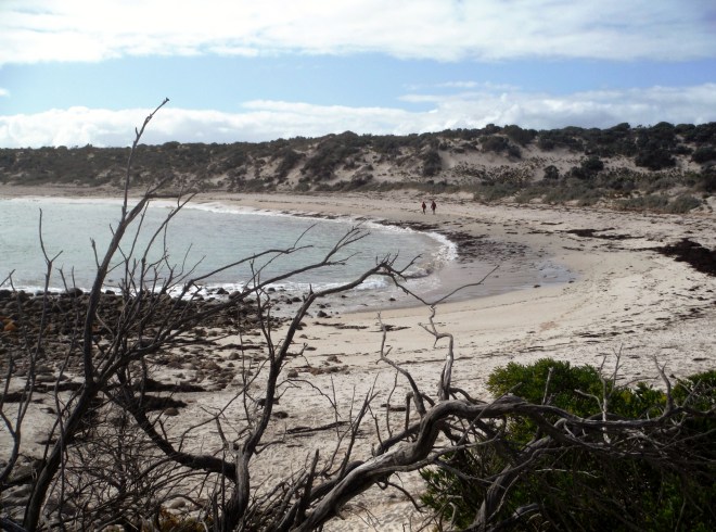 Wardang Goose Is 171