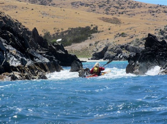 Signs of life on the hill