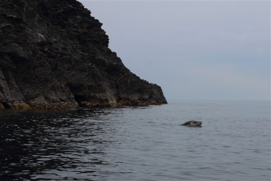 The "Seal of Approval"