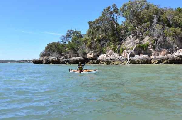 Another cove to check out