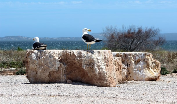 Even the locals stayed ashore today. This was inside the calm bay and you can see the whitecaps on the water