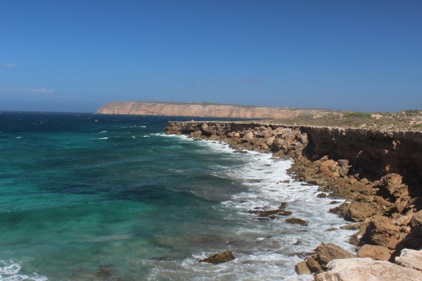Looking out towards the headlands of the protected Venus Bay