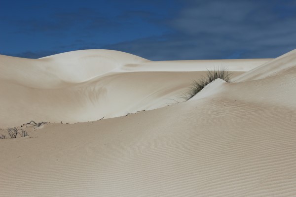 Stunning sand dunes with varying shades of colour