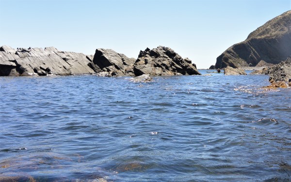 Steve was always among the rocks